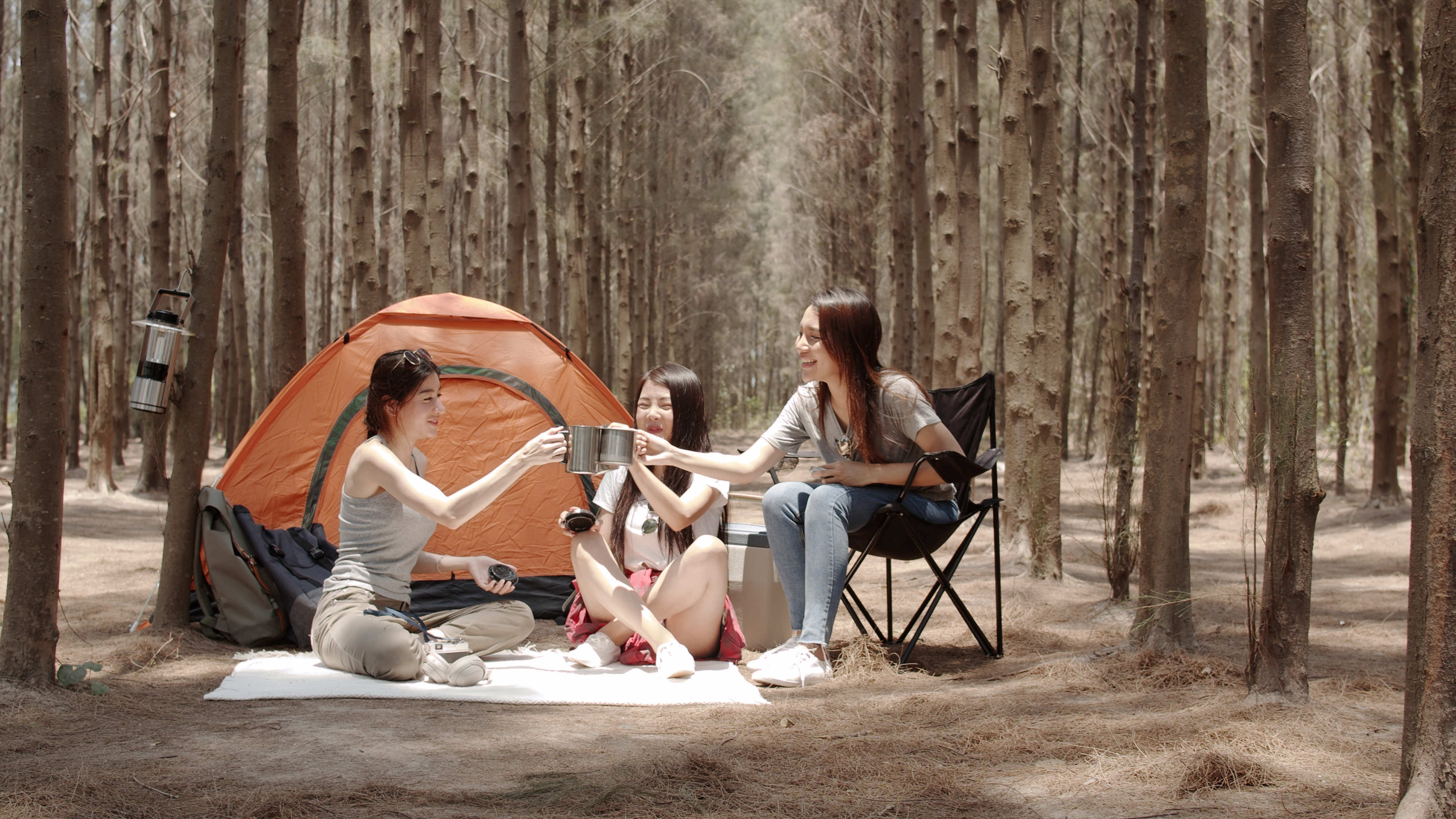 Group Of Young Asian Friends Camping Or Picnic Together In Fores